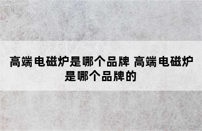 高端电磁炉是哪个品牌 高端电磁炉是哪个品牌的